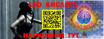 бошки Владимир