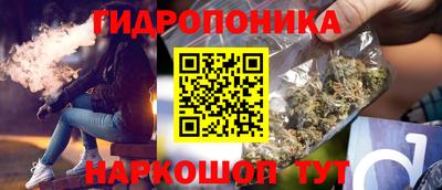 мяу мяу мука Вышний Волочёк